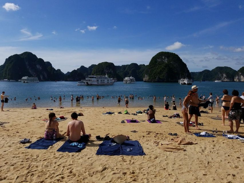 From Hanoi: Halong Bay Day Trip w/ Cave, Island & Kayak - A quiet paddle at Luon Cave