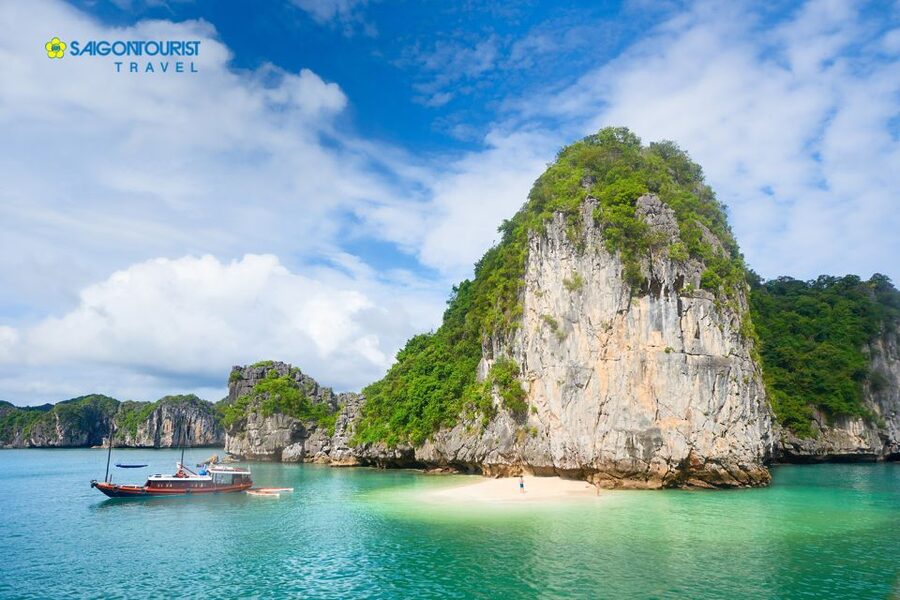 From Hanoi: Halong Bay Day Trip with Lunch and Transfers - Sunset tea before the ride back to Hanoi