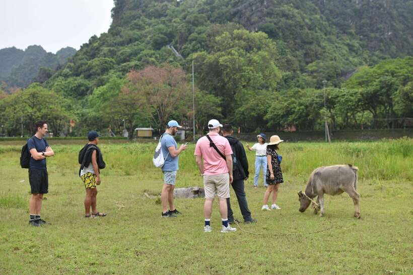 From Hanoi: Ninh Binh, Hoa Lu, Tam Coc, & Mua Cave Day-Trip - Mua Cave and the Lying Dragon Mountain climb