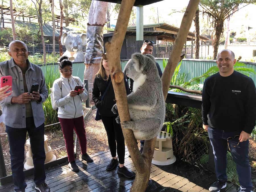 From Haymarket: Hunter Valley Wine and Wildlife Day Trip - Key points at a glance