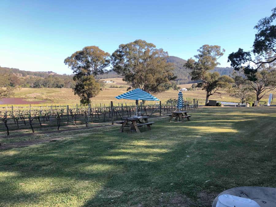 From Haymarket: Hunter Valley Wine and Wildlife Day Trip - Is the $88 price good value?