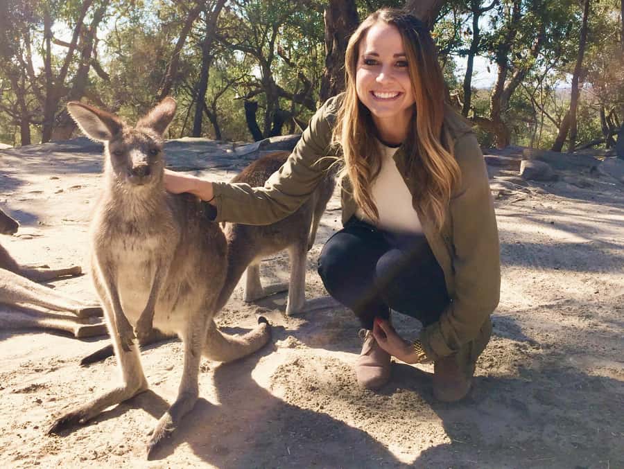 From Haymarket: Hunter Valley Wine and Wildlife Day Trip - Why this Sydney day trip works