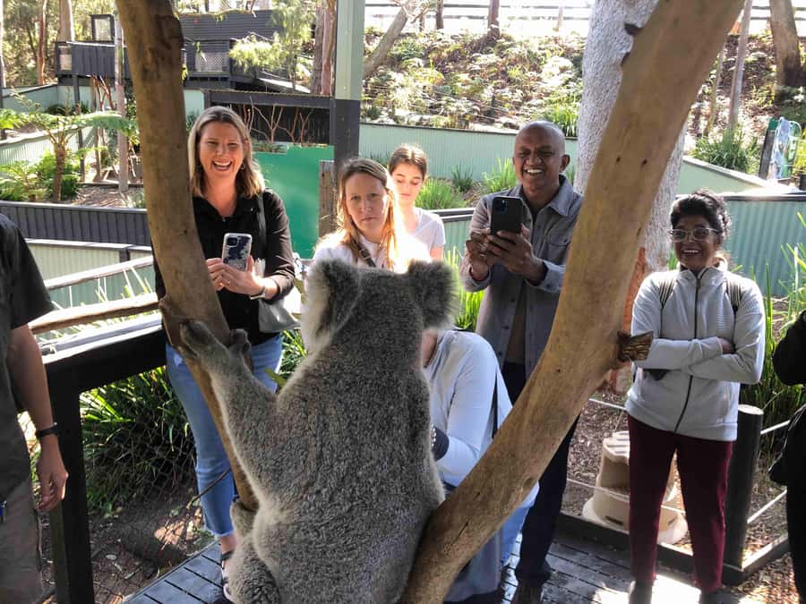 From Haymarket: Hunter Valley Wine and Wildlife Day Trip - Two boutique vineyards and flexible wine choices