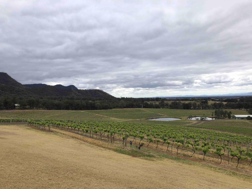 From Haymarket: Hunter Valley Wine and Wildlife Day Trip - What the guide adds