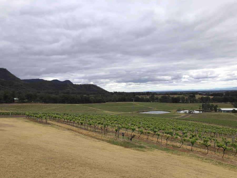 From Haymarket: Hunter Valley Wine and Wildlife Day Trip - Who should book this experience