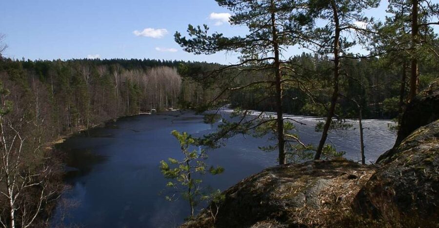 From Helsinki: Nuuksio National Park Half-Day Trip - Why Nuuksio makes a fine half-day escape