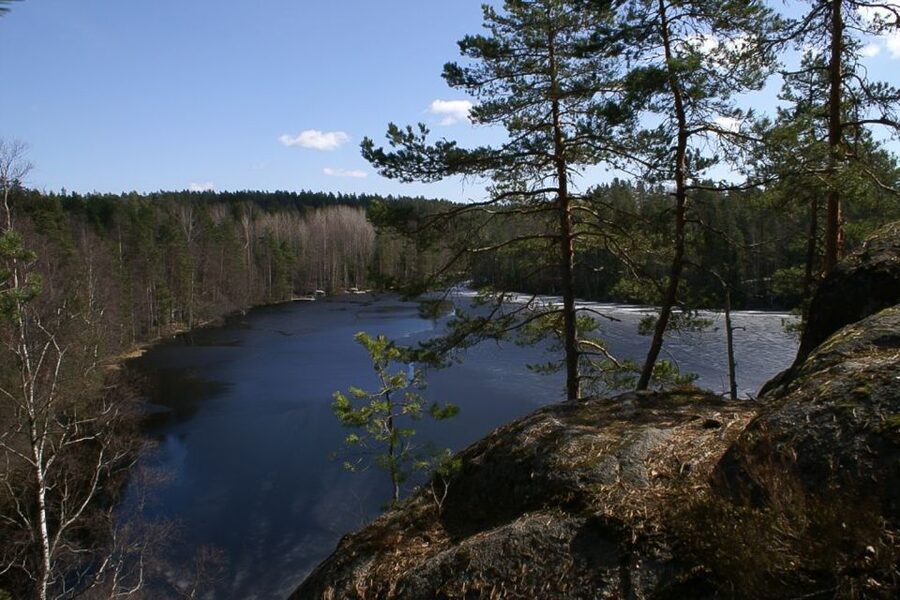 From Helsinki: Nuuksio National Park Half-Day Trip - Meeting at Railway Square and riding into the woods