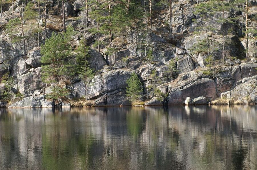 From Helsinki: Nuuksio National Park Half-Day Trip - Is $66 a fair price?
