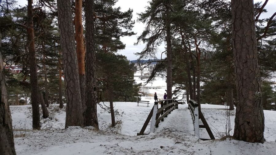 From Helsinki: Porvoo Guided Day Trip with Transportation - Shops, cafés, and time to pause