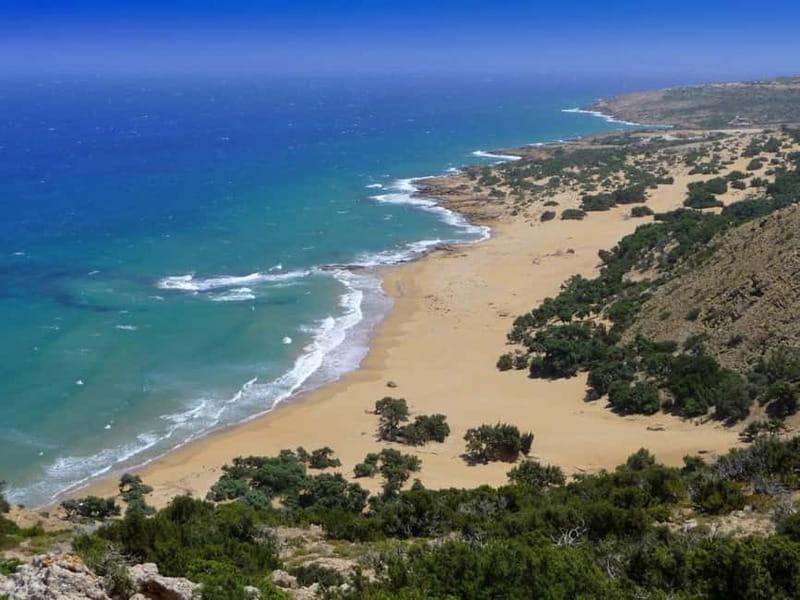 From Herakleion: Day Trip to Preveli Palm River Beach - Is the $41 price good value?