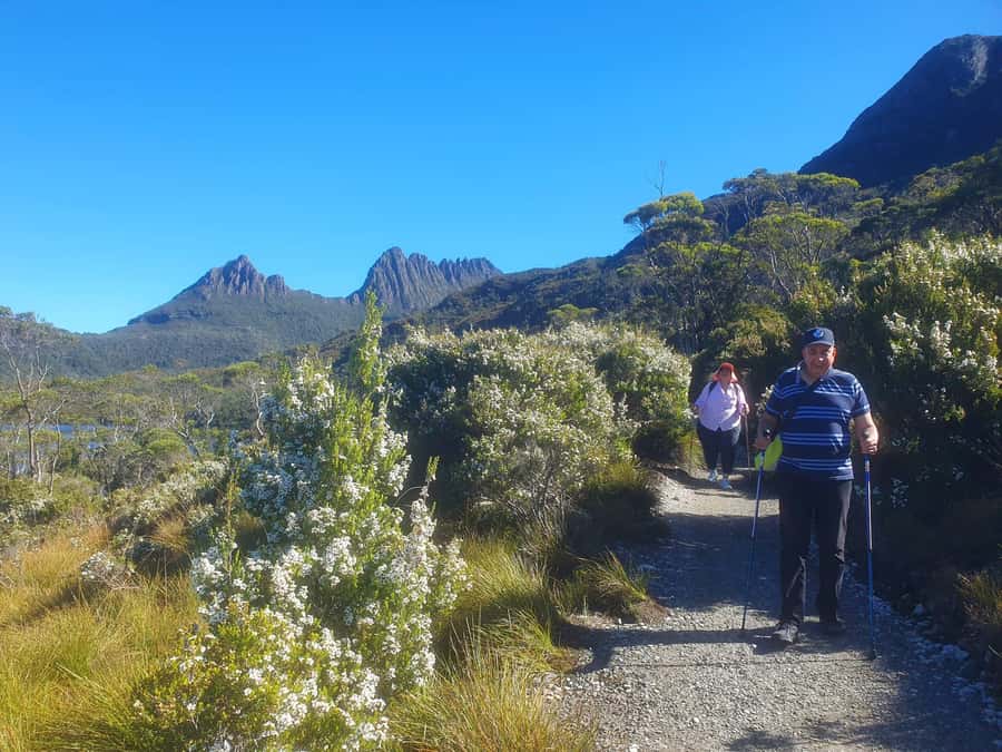 From Hobart: Active Day Trip to Cradle Mountain - Ronny Creek, wombats, and the Enchanted Forest