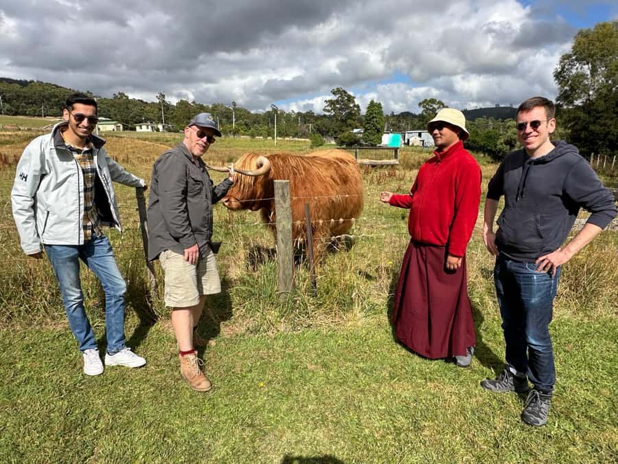 From Hobart: Active Day Trip to Cradle Mountain - The early dinner and the ride back to Hobart