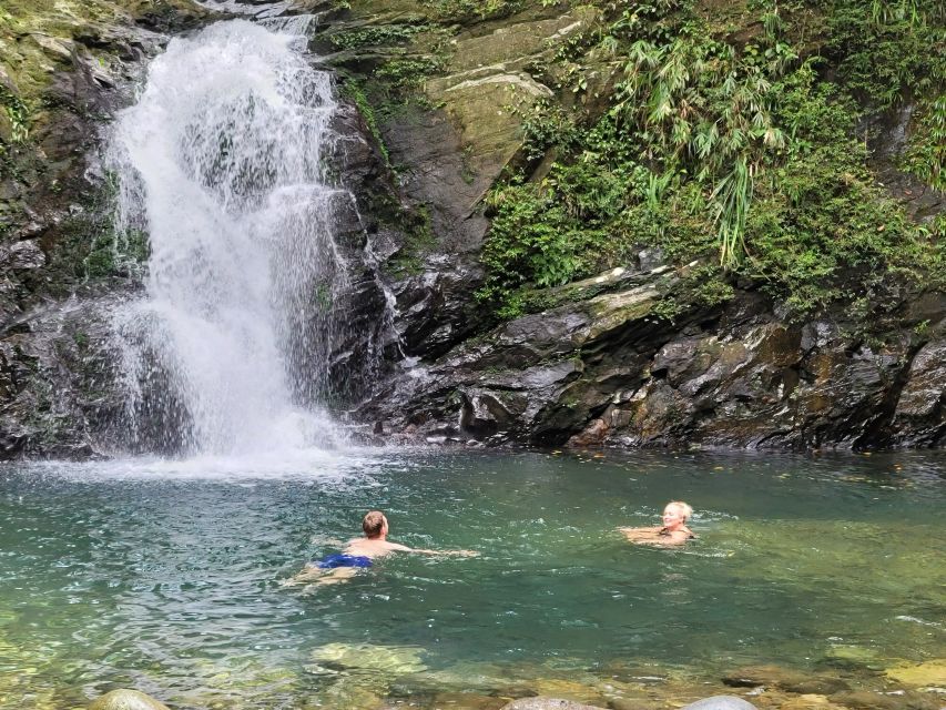 From Hue: Bach Ma National Park Hiking Day Trip with Pickup - What the guides add to the day