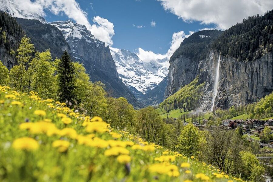 From Interlaken: Guided Tour to Jungfraujoch - Top of Europe - What the $342 price really buys you