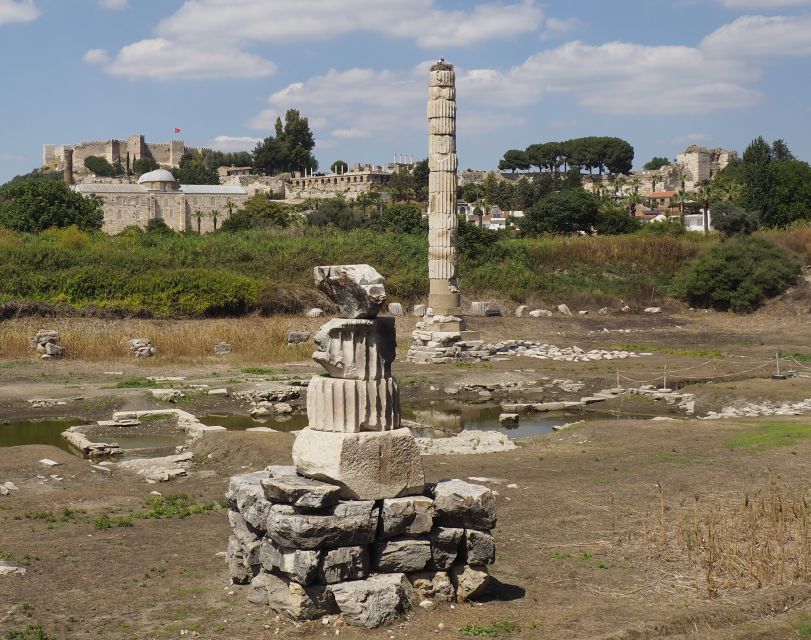 From Istanbul: Ephesus & Şirince Day Trip w/ Wine Tasting - Should you pay extra for the Terrace Houses?