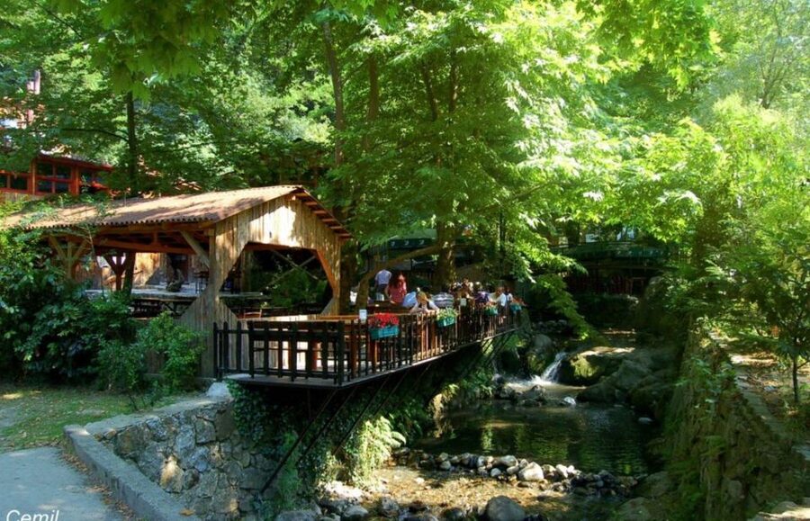 From Istanbul: Guided Day Trip to Sapanca and Masukiye - What this day trip is really offering