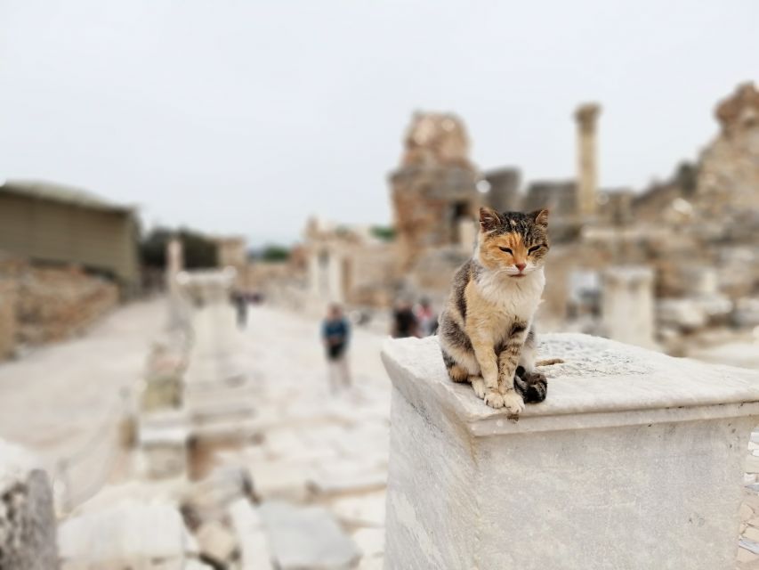 From Istanbul: Private Guided Day Trip to Ephesus with Lunch - The morning flight from Istanbul to Izmir