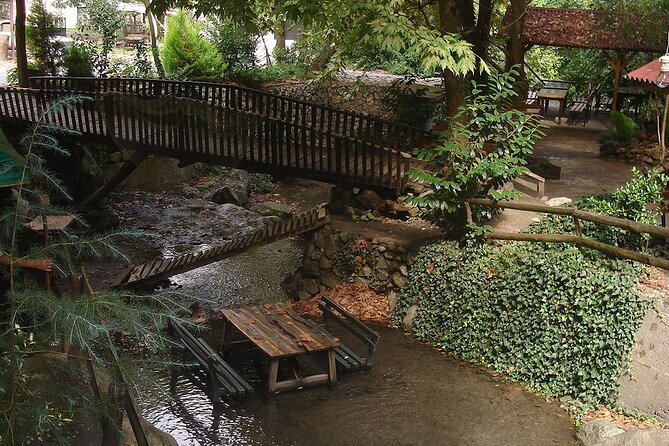 From Istanbul: Sapanca and Masukiye Day Trip with Lunch - Mahmudiye Village: Zipline and Water Activities