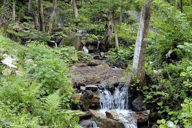 From Istanbul: Sapanca and Masukiye Day Trip with Lunch - Lunch Beside a Waterfall or Near Sapanca Lake