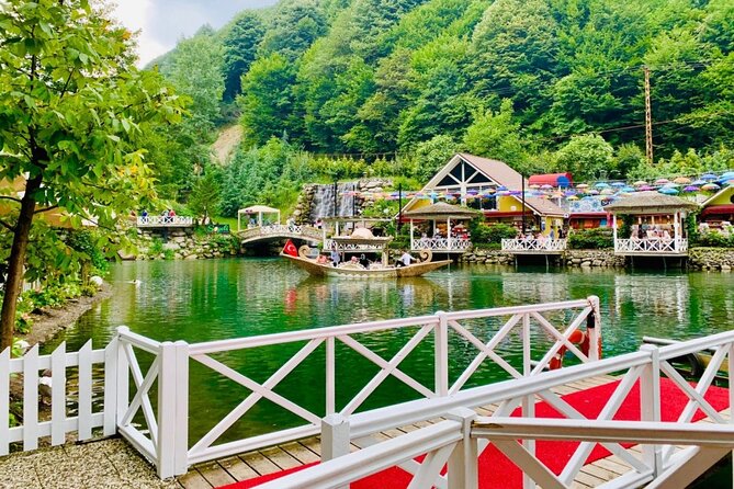 From Istanbul: Sapanca and Masukiye Day Trip with Lunch - Darıca Zoo or the Sea Route to Lion Park and Aquarium