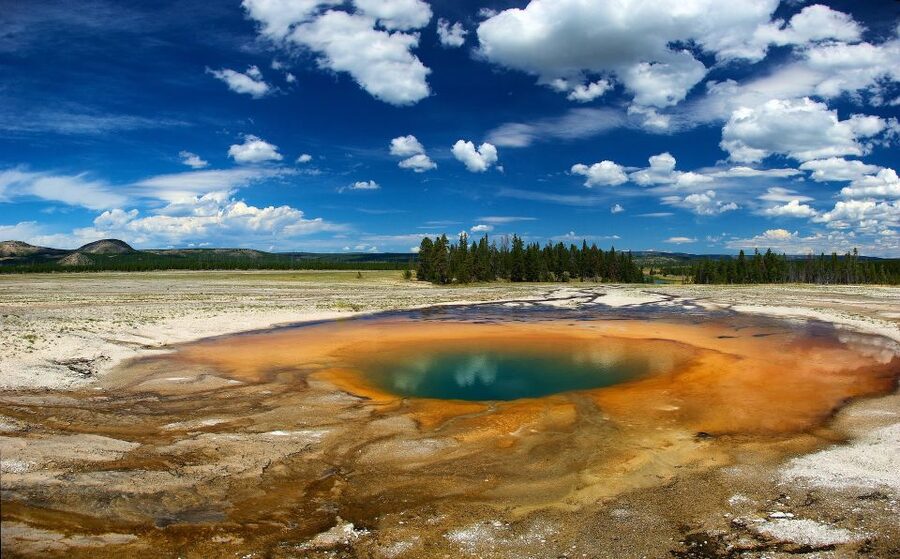 From Jackson: Yellowstone National Park Day Trip with Lunch - Key points at a glance