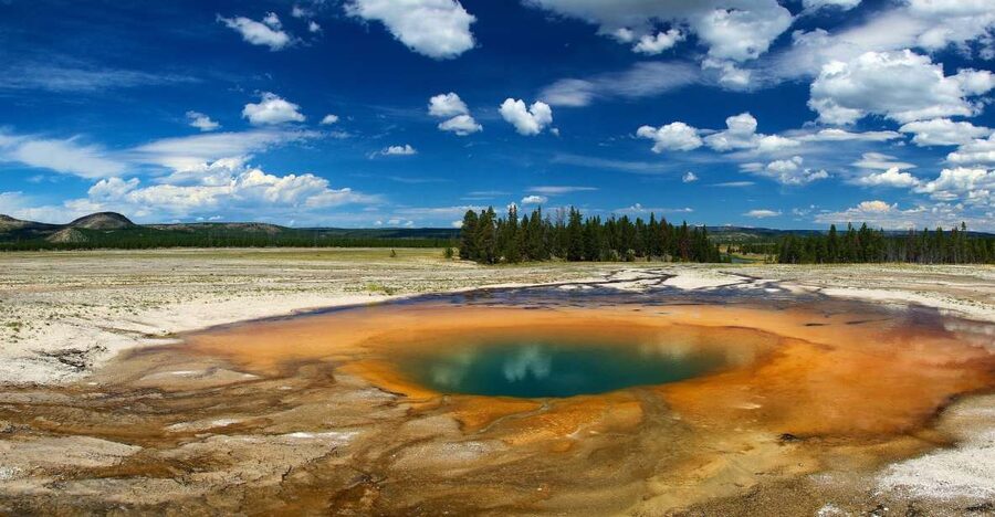 From Jackson: Yellowstone National Park Day Trip with Lunch - One day, two national parks
