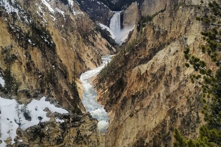 From Jackson: Yellowstone National Park Day Trip with Lunch - The Grand Canyon of the Yellowstone River