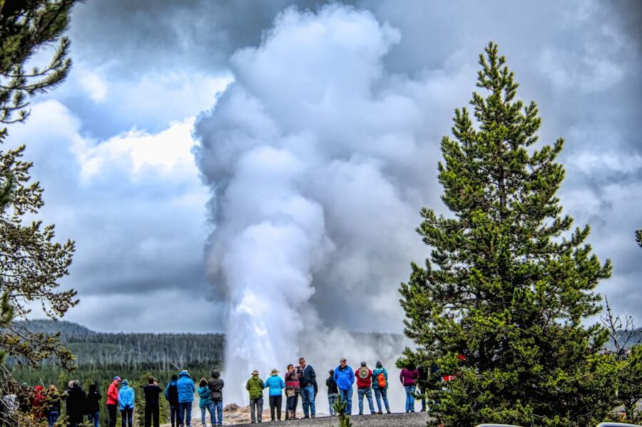 From Jackson: Yellowstone National Park Day Trip with Lunch - Hayden Valley, Sulphur Cauldron, and Mud Volcano