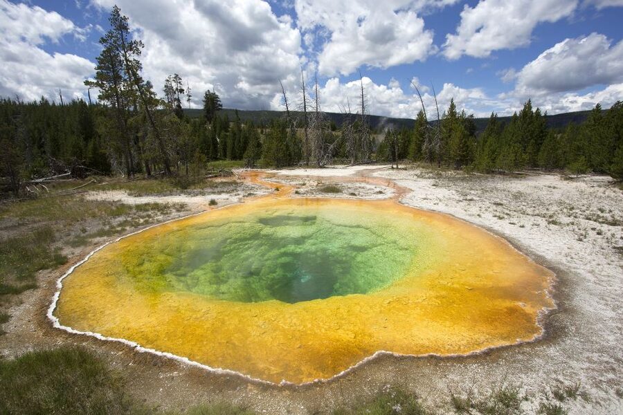 From Jackson: Yellowstone National Park Day Trip with Lunch - What the $325 price really buys