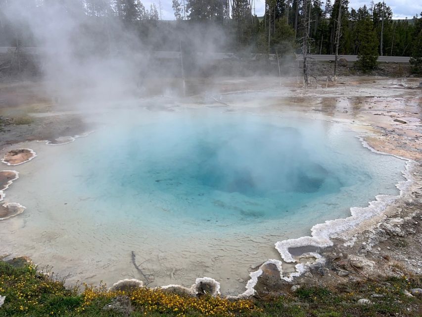 From Jackson: Yellowstone National Park Day Trip with Lunch - Old Faithful and the Upper Geyser Basin