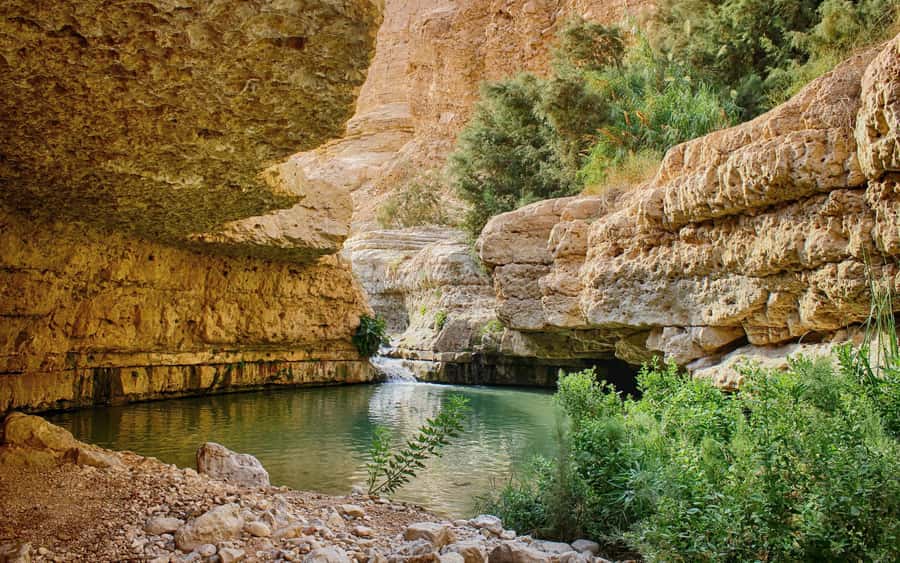 From Jerusalem: Masada Sunrise, Ein Gedi & Dead Sea Day Trip - A green break at Ein Gedi