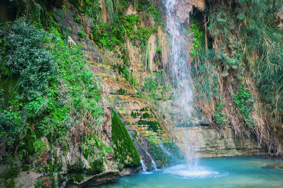 From Jerusalem: Masada Sunrise, Ein Gedi & Dead Sea Day Trip - Should you book the Masada sunrise trip?