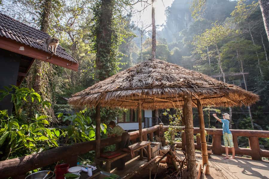 From Khao Lak: Day Trip to Khao Sok with Elephant Camp Visit - Key points at a glance