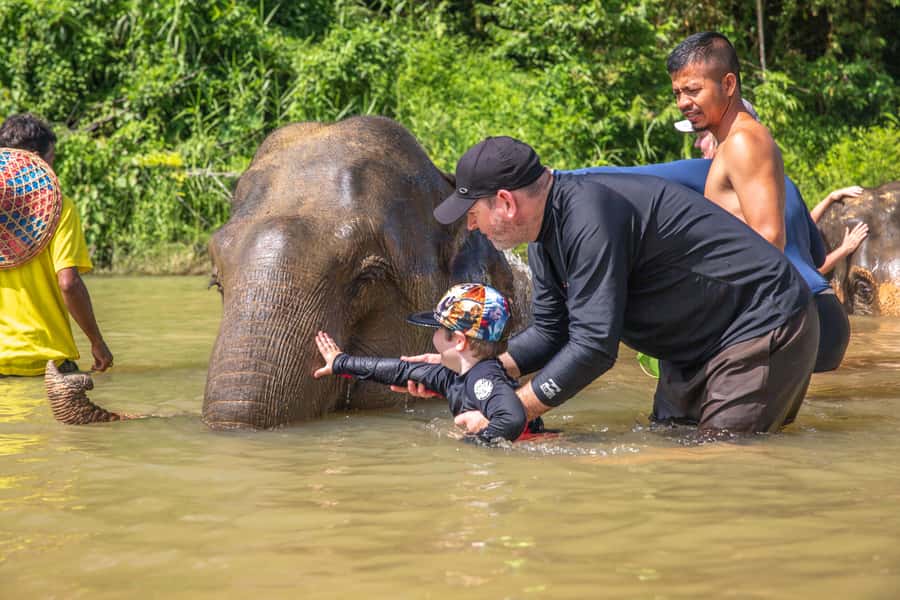 From Khao Lak: Day Trip to Khao Sok with Elephant Camp Visit - Possible market, viewpoint, and monkey temple stops