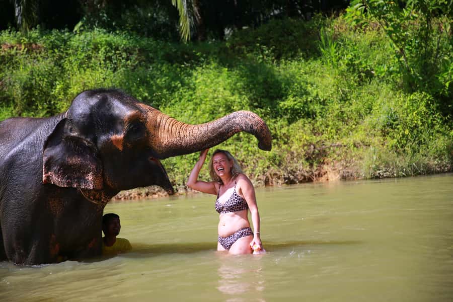 From Khao Lak: Day Trip to Khao Sok with Elephant Camp Visit - Lunch at a treehouse resort