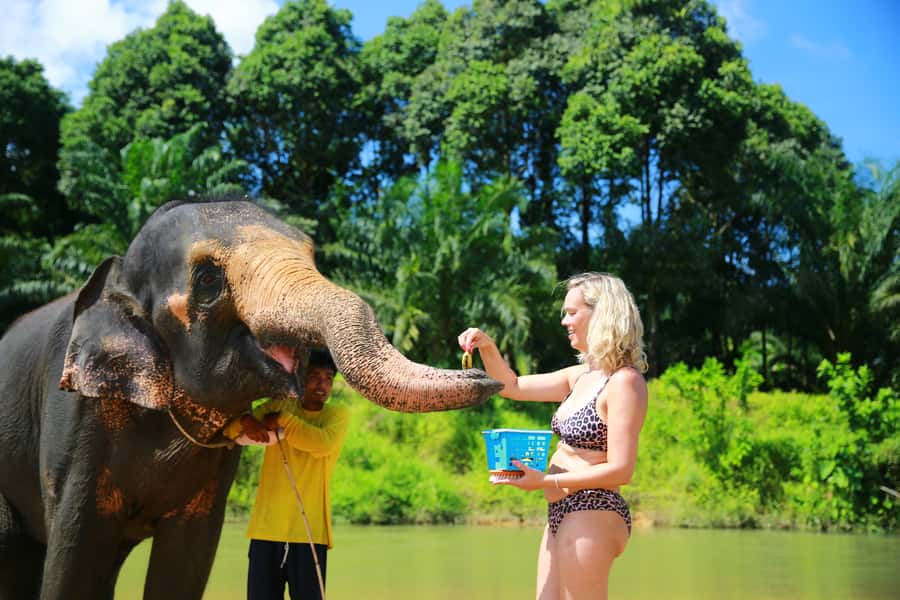 From Khao Lak: Day Trip to Khao Sok with Elephant Camp Visit - Meeting the elephants at the camp