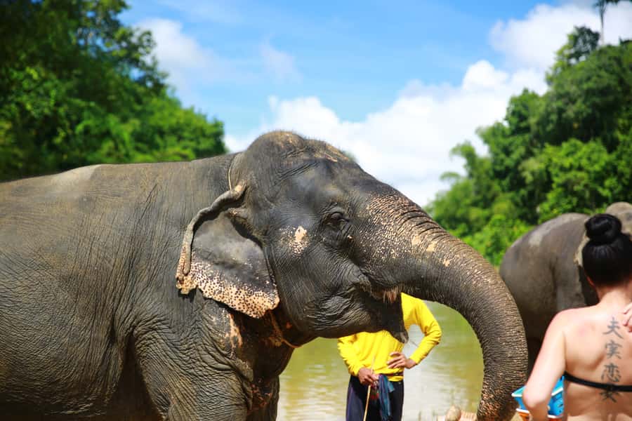 From Khao Lak: Day Trip to Khao Sok with Elephant Camp Visit - What to bring and who should book