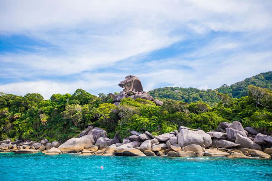 From Khao Lak: Similan Islands Day Trip by Luxury Catamaran - What you get for $120