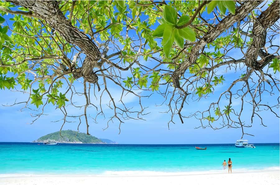 From Khao Lak: Similan Islands Day Trip with Snorkeling - Who will enjoy this day most