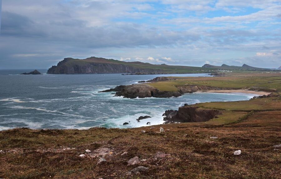 From Killarney: Day Trip to Dingle - Key points to know before booking