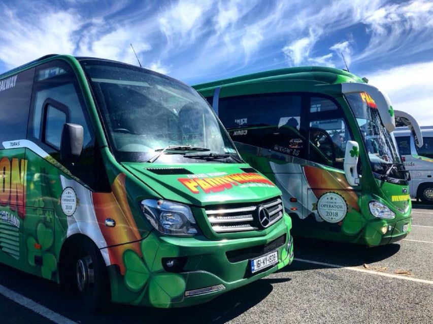 From Killarney: Day Trip to Dingle - Who will enjoy this tour most?