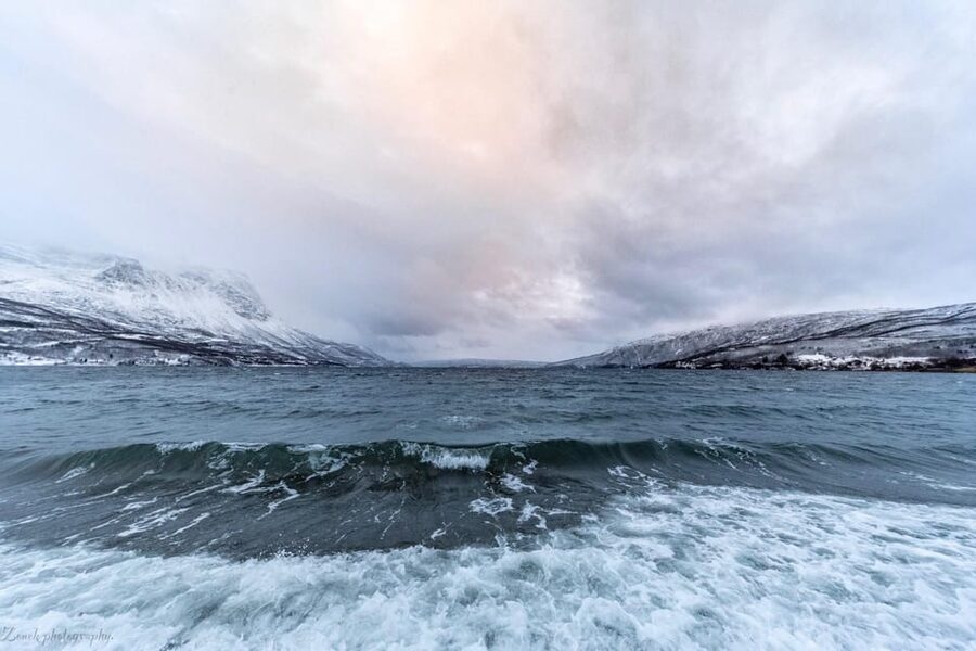 From Kiruna: Narvik City and Fjord Day Trip - What the eight-hour format feels like