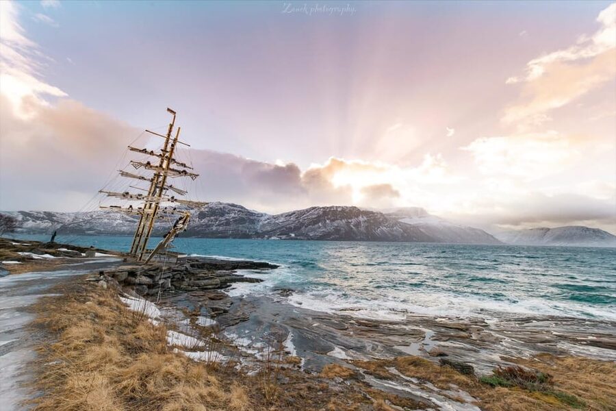From Kiruna: Narvik City and Fjord Day Trip - Lake Torneträsk and the best photo moments