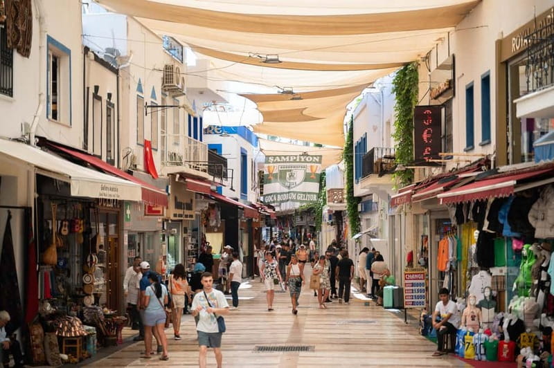 From Kos: Bodrum Day Trip by Ferry with Transfer - Why Bodrum makes a good side trip from Kos