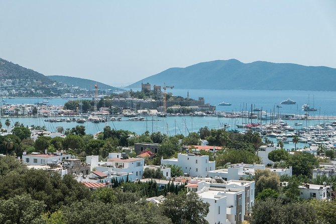 From Kos: Independent Day Trip to Bodrum - Key points to know before you book