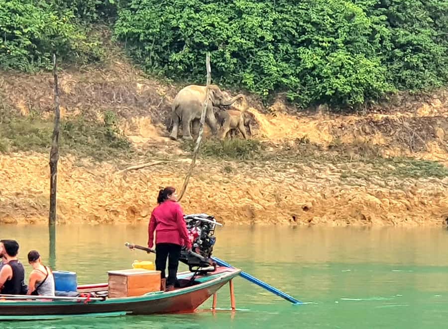 From Krabi: Cheow Lan Lake Day Trip with Lunch at Rafthouse - Hiking through the rainforest to Diamond Cave