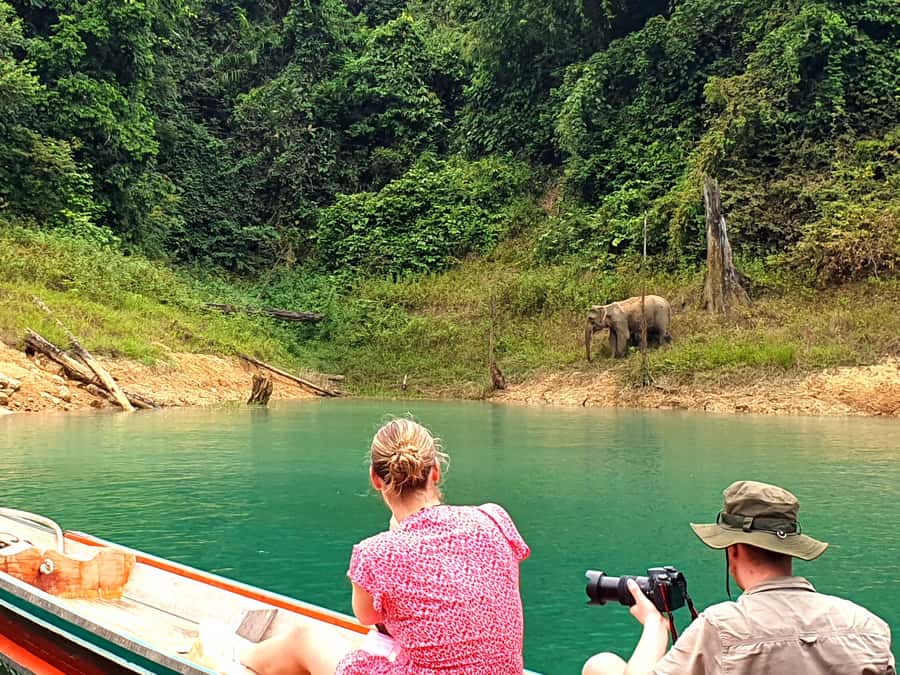 From Krabi: Cheow Lan Lake Day Trip with Lunch at Rafthouse - The early pickup and two-hour van ride