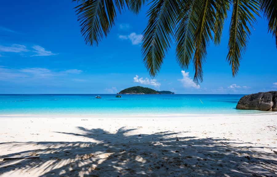 From Krabi: Similan Islands Day Trip by Speedboat - Koh Payu and the first organized snorkeling session