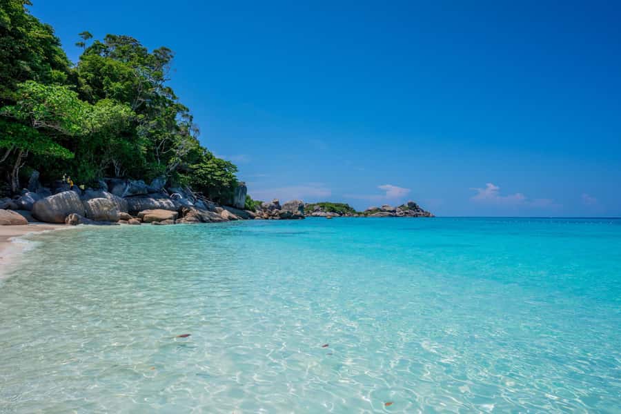 From Krabi: Similan Islands Day Trip by Speedboat - Koh Bangu and the final snorkeling stop