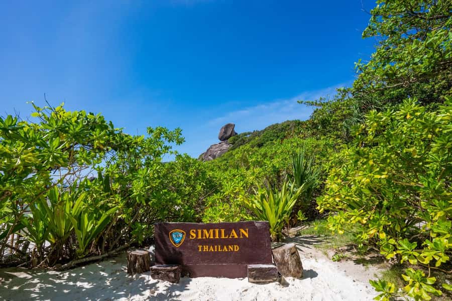 From Krabi: Similan Islands Day Trip by Speedboat - The early morning start at Fantastic Similan Travel Pier